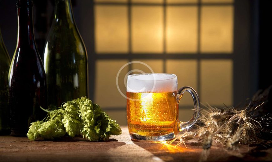 Brewery Certification Is Your Way to Understanding Beer